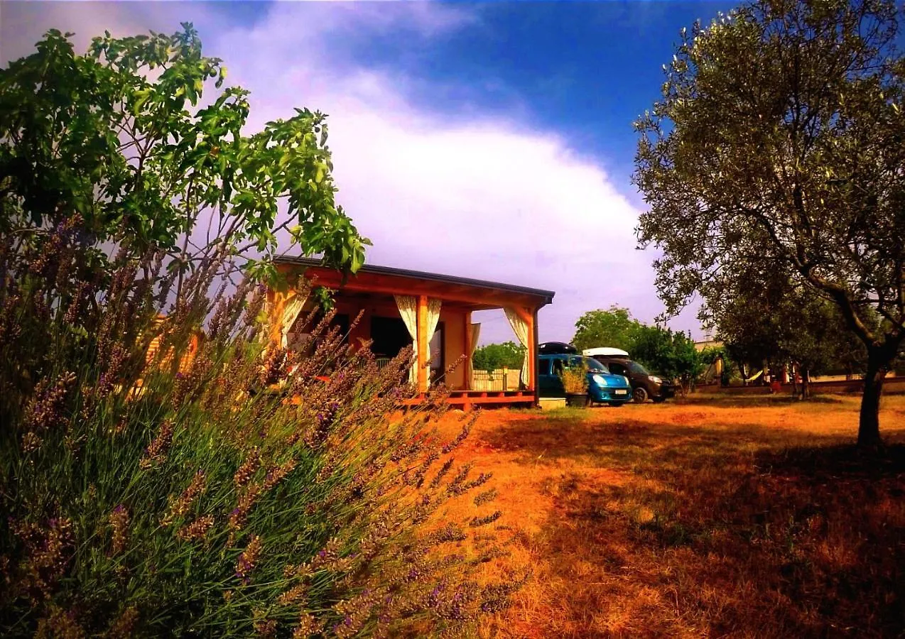 Apartment Nature Home Eco-Friendly Pet-Friendly Fazana