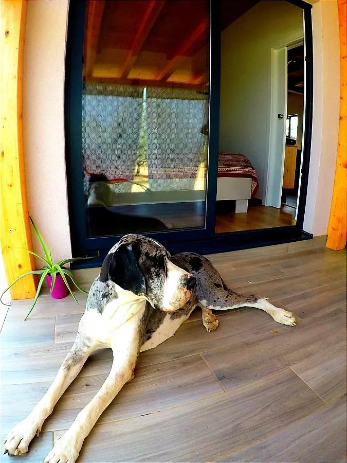 Nature Home Eco-Friendly Pet-Friendly Fazana 0*,  Croatia