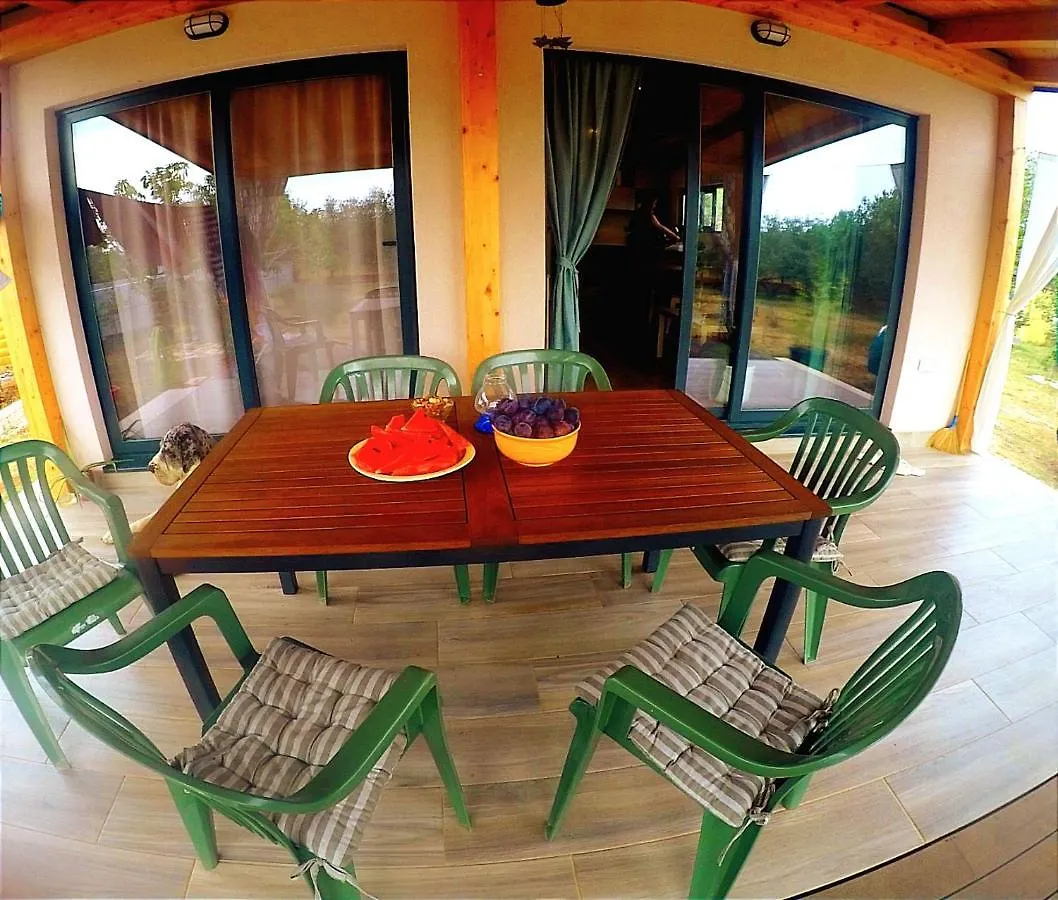Nature Home Eco-Friendly Pet-Friendly Fazana