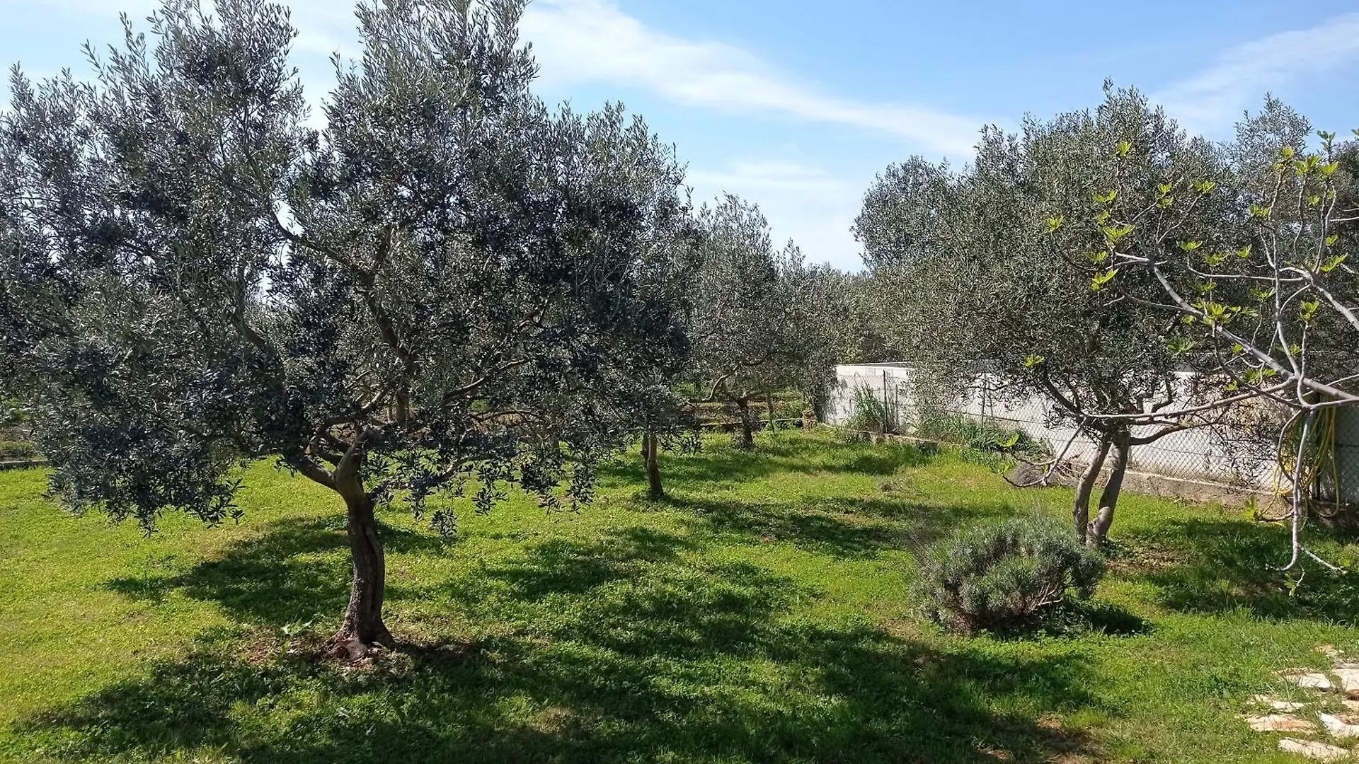 Apartment Nature Home Eco-Friendly Pet-Friendly Fazana
